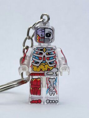 Transparent Skeleton Anatomy Minifigure Keychain Science Body Model Toy
